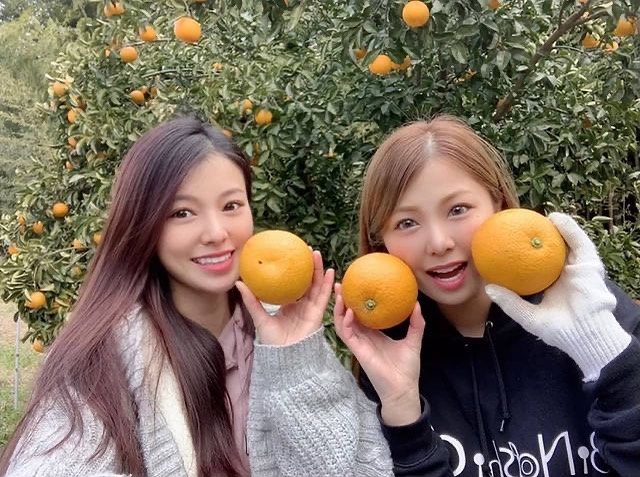 農家 稼ぐ 美人姉妹