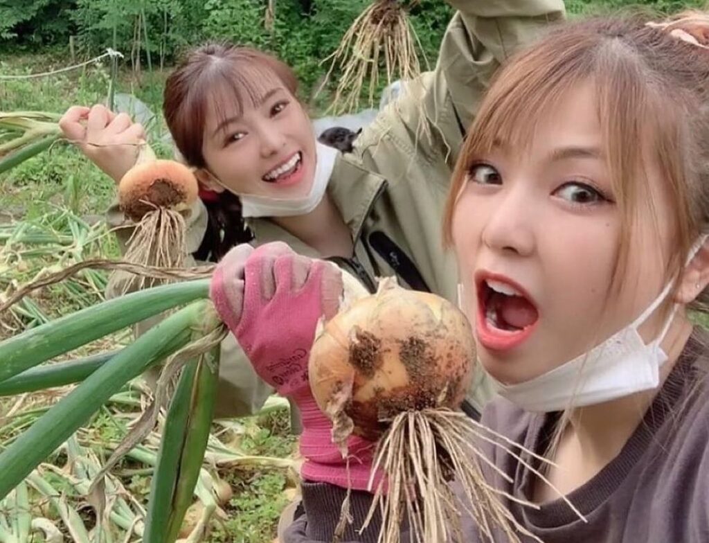 玉ねぎ 美人姉妹