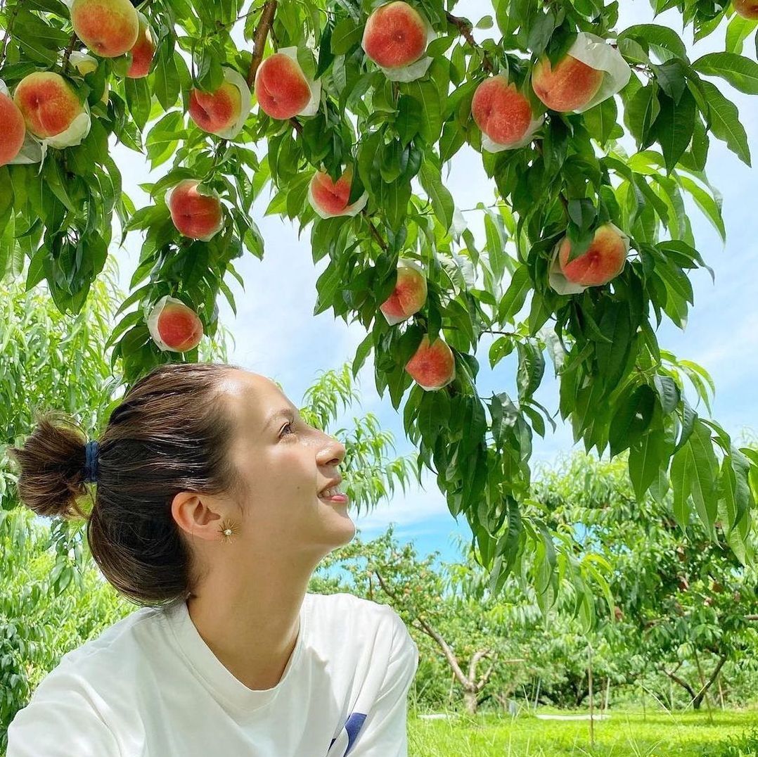 桃の木の下で休憩する高年収な桃農家