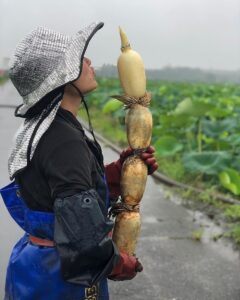 稼げるレンコン農家。愛しのレンコン