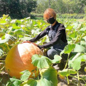 巨大かぼちゃで年収アップ