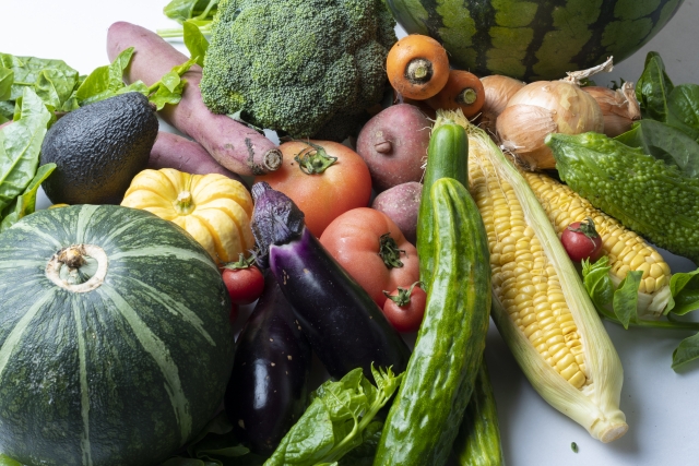 【野菜農家の年収】個人農家は何の野菜で儲けるのか？