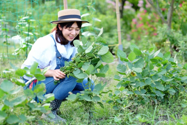 【農業女子プロジェクトの活動内容】実際どんなことをするの？