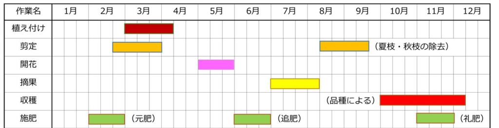 みかんの栽培カレンダー