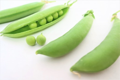 スナップエンドウ・えんどう豆の特徴