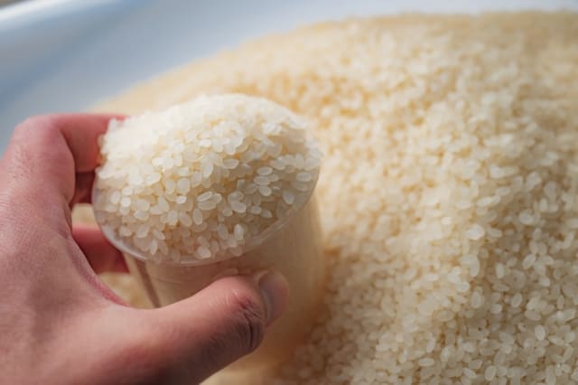 お米を保存する際の３つのポイント
