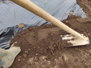 【農家が教える】簡単！マルチシートの張り方：マルチを足で引っ張りながら土を被せるところ