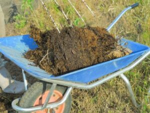 家庭菜園の土作り：堆肥を追加