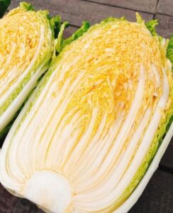 白菜栽培：白菜の品種「オレンジ白菜」