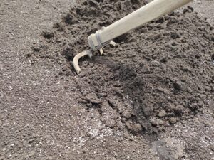 農家の土作り：石灰を入れて酸度調整