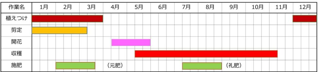 山椒の栽培カレンダー・栽培時期