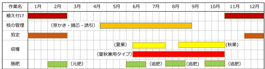 イチジクの栽培時期・栽培カレンダー