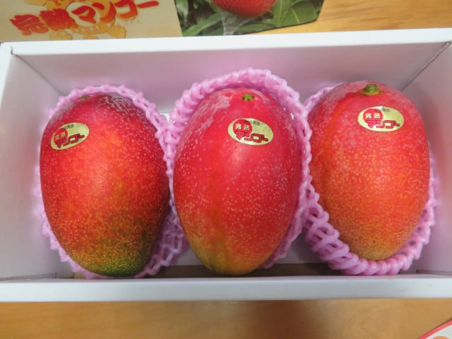 通販で買えるマンゴーの選び方