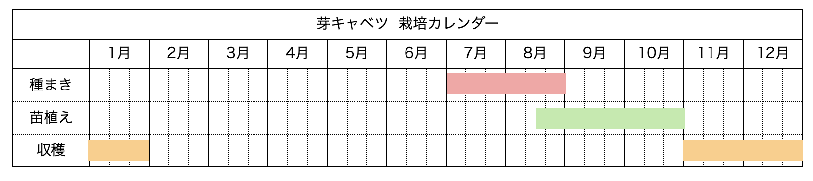 芽キャベツの栽培時期・栽培カレンダー
