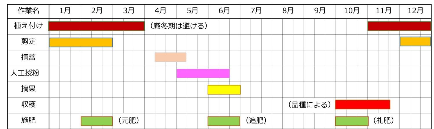 キウイの栽培時期・栽培カレンダー