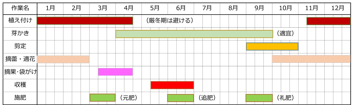 びわの栽培時期・栽培カレンダー