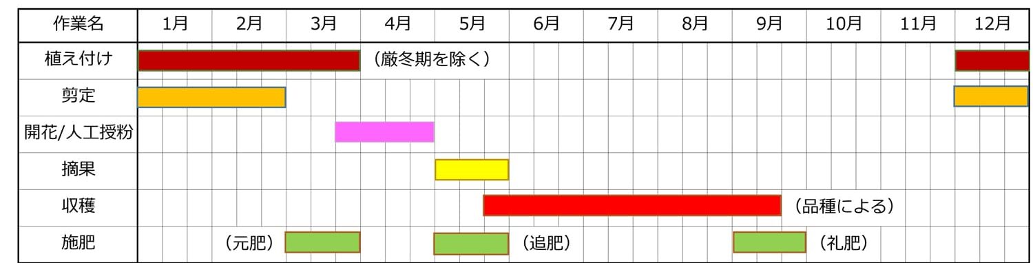桃の栽培時期・栽培カレンダー